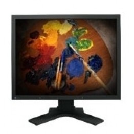 Монитор Eizo S2100, 21.3