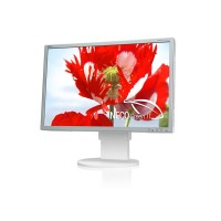 Монитор NEC EA261WM, 26