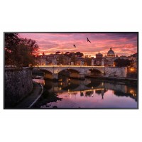 Монитор Samsung QB55R, 55